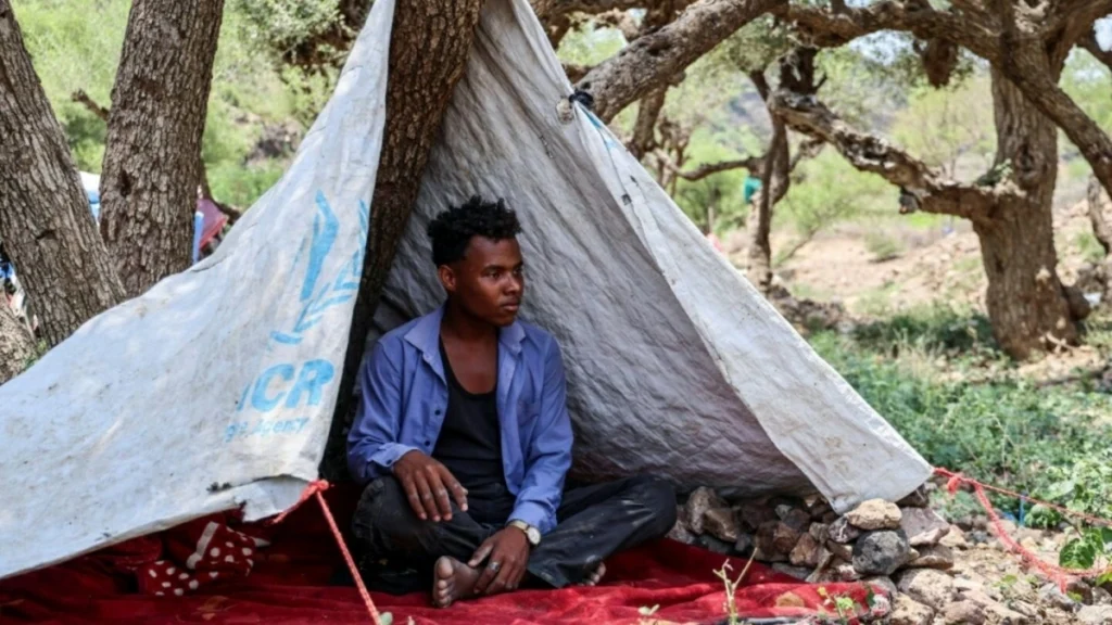 Civilians abandon homes as Yemen fighting leaves more than 300 dead